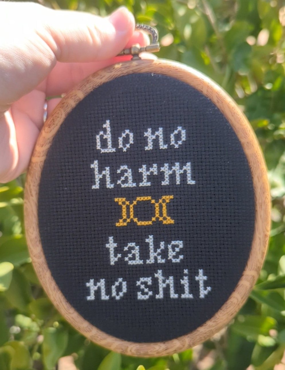 "Do No Harm, Take No Shit" Wall Art